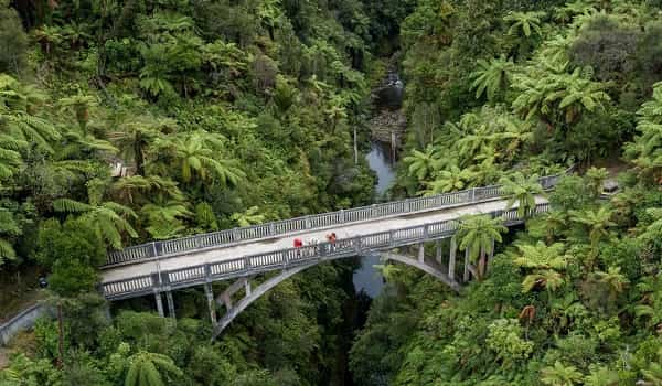 Whanganui National Park, New Zealand