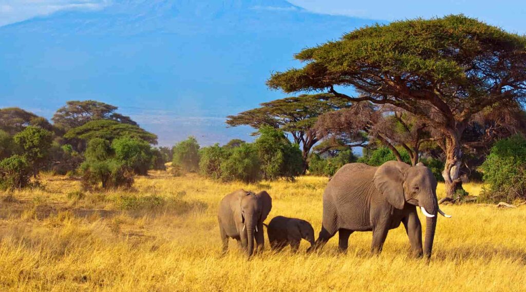 best places to visit in Africa in March